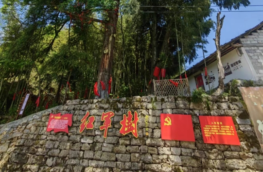 微信截图_20240531105944.jpg 微信截图_20240531105944.jpg